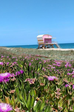 Appartement T2 en résidence et plage naturiste